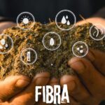 Fibra