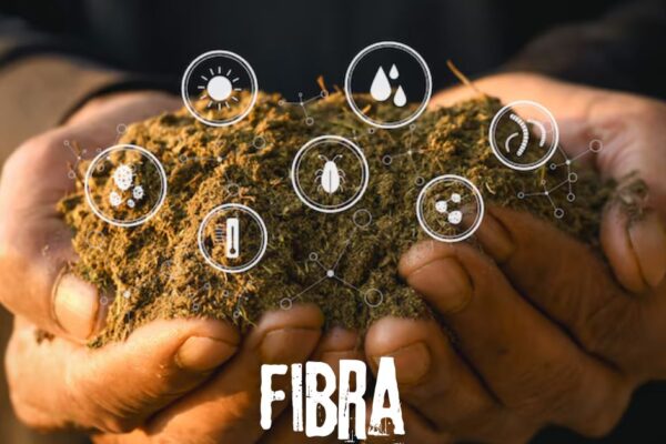 Fibra