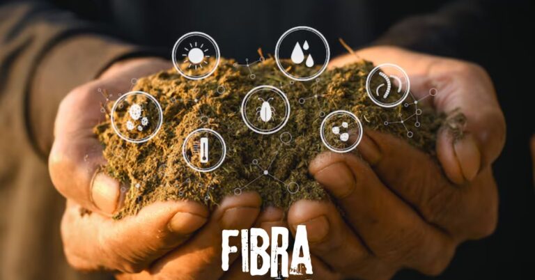 Fibra