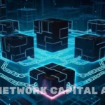 exnetwork capital aum