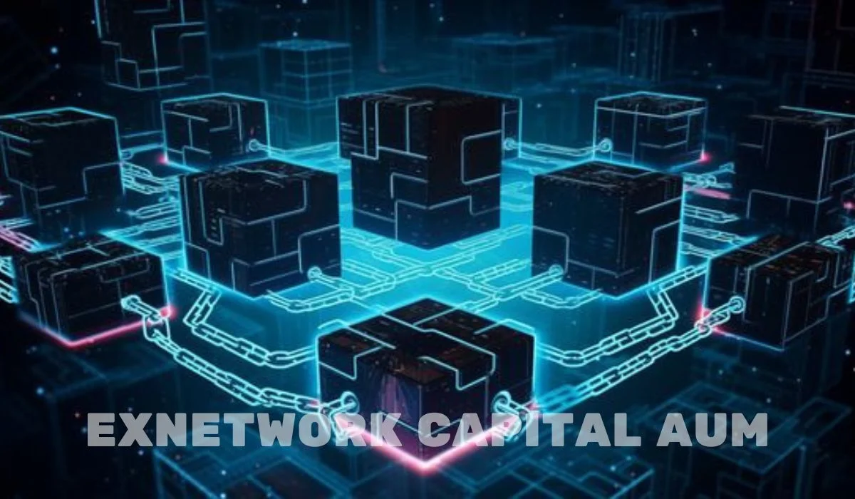 exnetwork capital aum