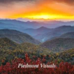 piedmont visuals