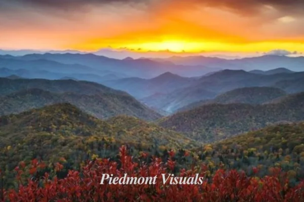 piedmont visuals