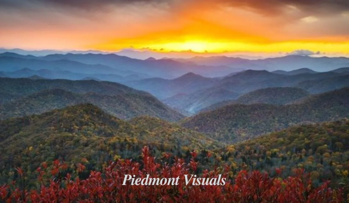 piedmont visuals